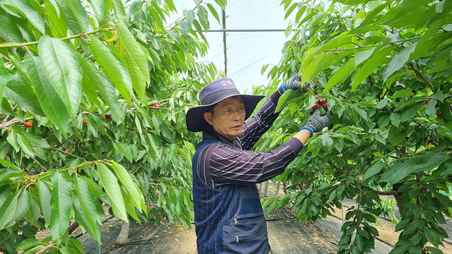 기사사진