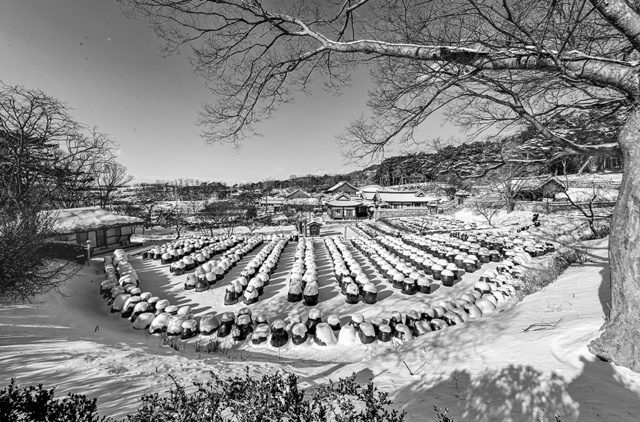 한입분作