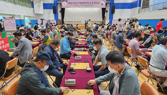 기사사진