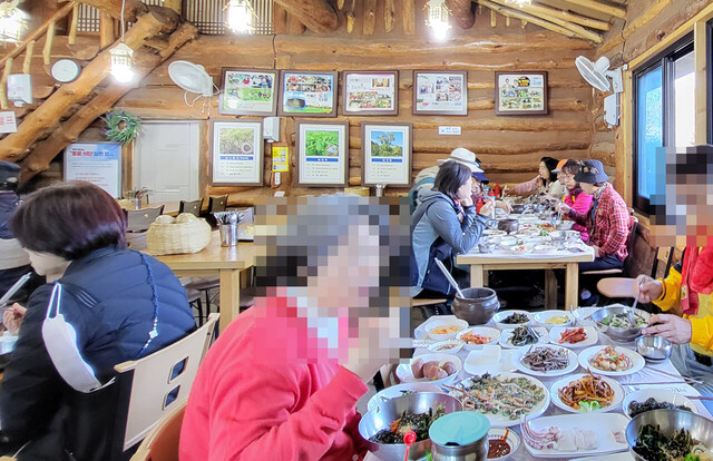 울릉도 나리분지 식당