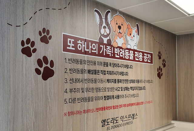 반려동물 공간