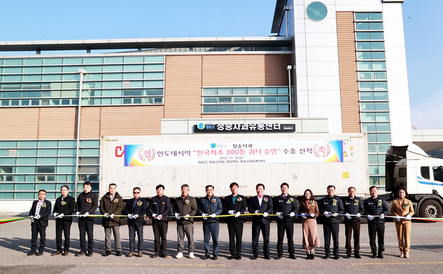 명품으로 인정받는 청송사과는 인도네시아로도 수출되고 있다.