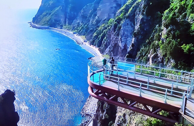 울릉도서 즐기기 