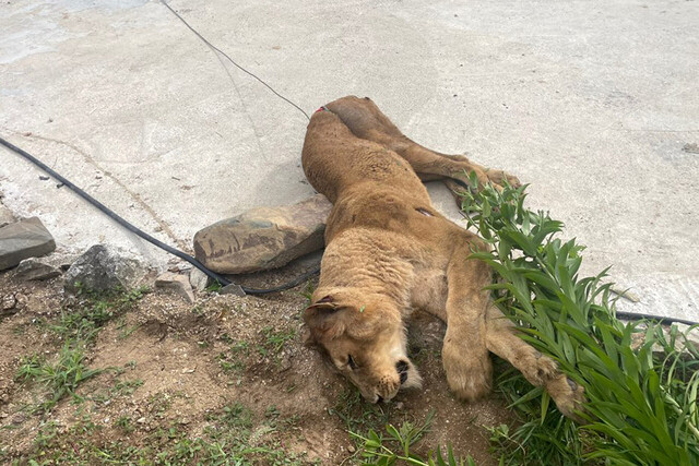 기사사진