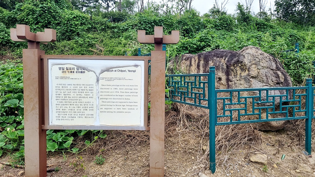 포항 영일 칠포리 암각화군의 한 암각화 주변이 관리 주체인 포항시의 관리 부실로 잡초가 무성하다.  /윤영대 전 포항대 교수