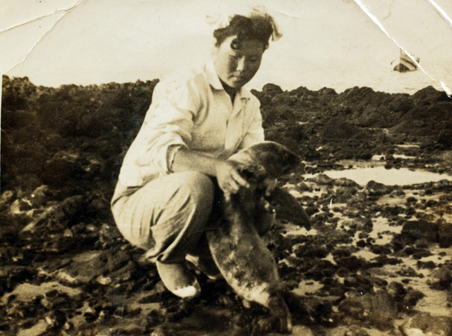 제주도 출어부인 김공자 해녀가 독도에서 새끼 강치(1950년 말)를 안고 있다.