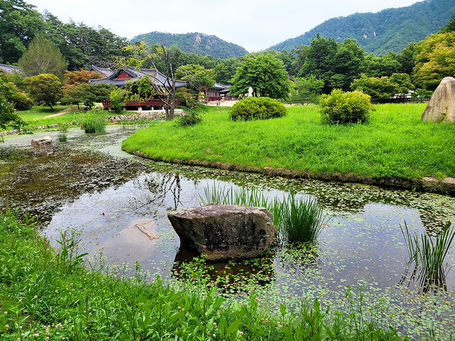 불영사  연못.