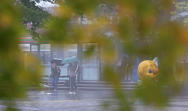 기사사진