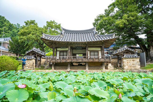 도암정 