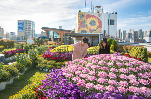 기사사진