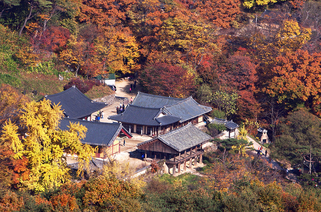 봉정사