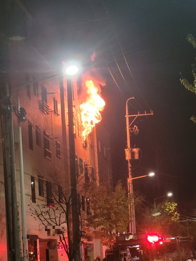기사사진