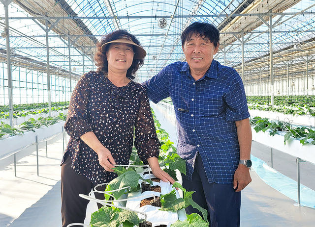 기사사진