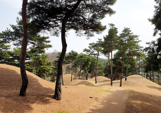 세계문화유산 고령 지산동 고분군.