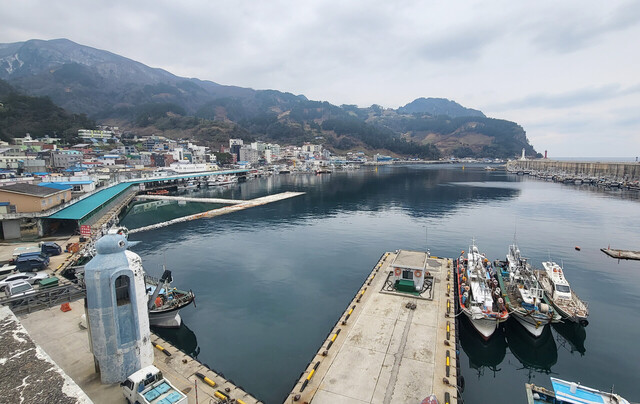 유통센터 옥상에서 바라본 저동항 전경