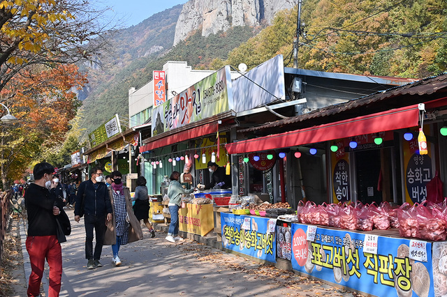 주왕산 일대 상가는 청송의 대표적 음식거리다.