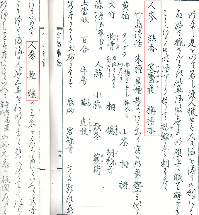울릉도에 자생한 인삼, 벚꽃나무, 약초를 기록한 일본 문서 ‘독도잡지(獨島雜誌)’확대. /김문길 소장제공