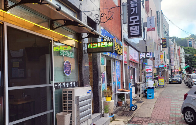 울릉읍 저동리 지역도 공시지가가 높은 편이다. /김두한기자