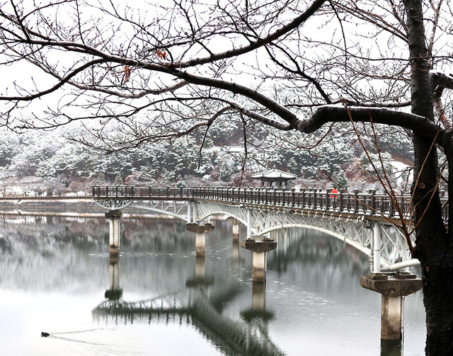 월영교 겨울 풍경