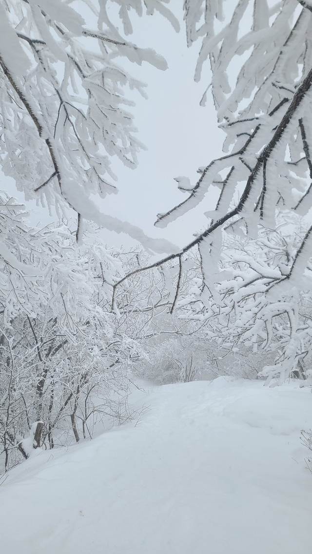 2일 봉화 소천면 분천역 산타마을의 설경. 독자제공