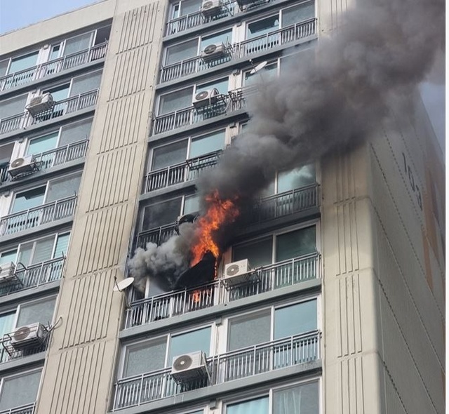 기사사진
