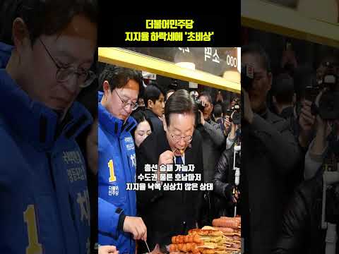 기사사진