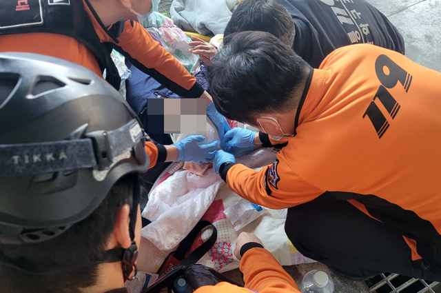 기사사진