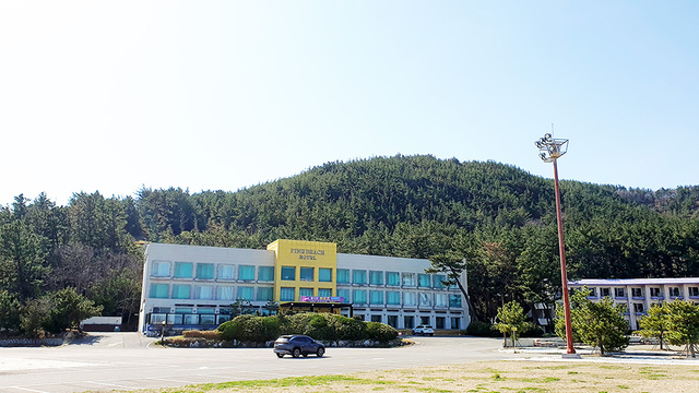 따스한 바람이 오가는 칠포해수욕장 인근 숲. /홍성식기자