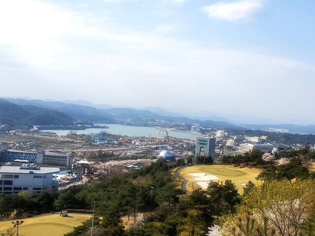 5일 벚꽃이 활짝핀  경주 보문단지 모습. 경주/황성호기자