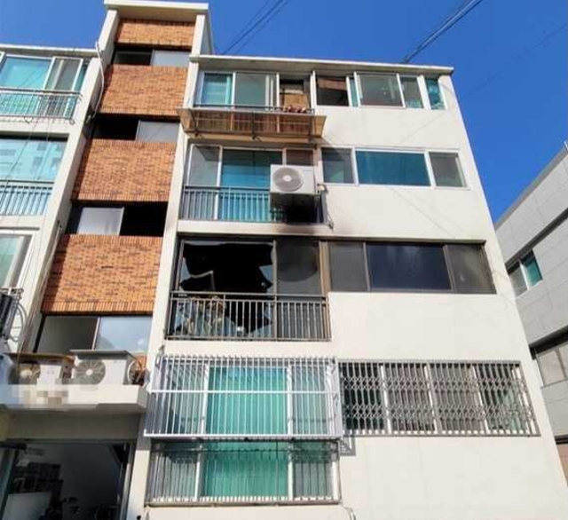 기사사진
