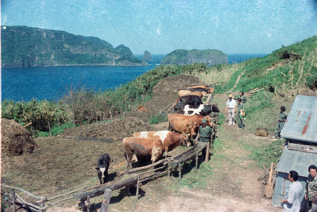 과거 죽도 사진전. /울릉도독도해양연구기지