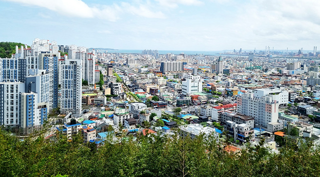전망대에서 내려다본 포항 시내 모습.