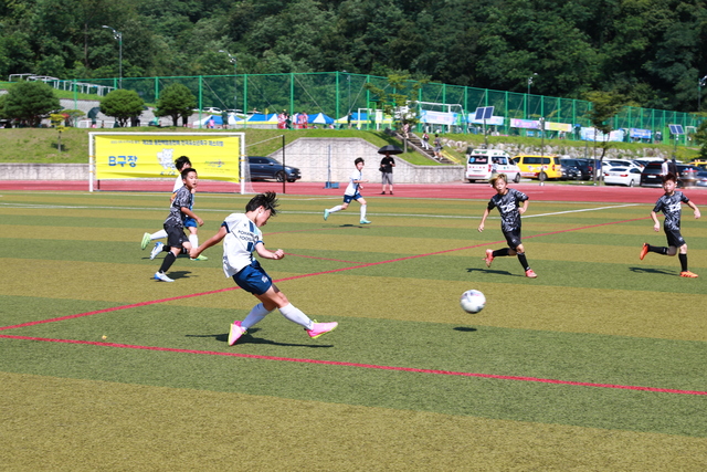 지난해 열린 백암온천배 전국 유소년 축구대회 경기 장면. /울진군제공