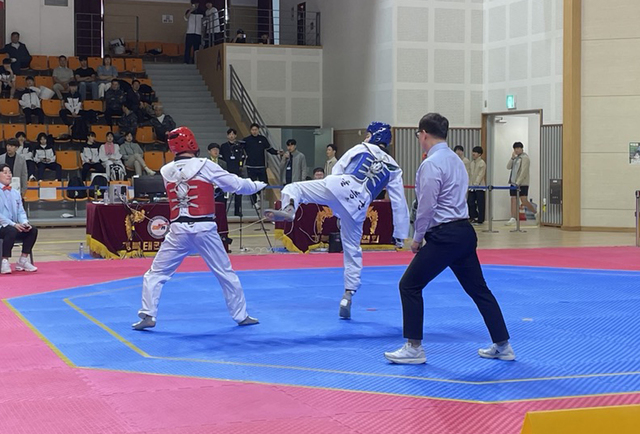 은메달 2개를 획득한 태권도 경기./ 울릉군