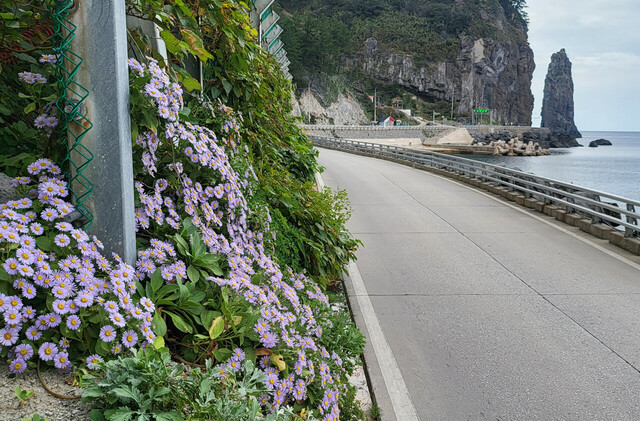 울릉도 왕해국./김두한 기자 