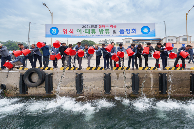 월성원전 관계자와 주민들이 읍천항 방파제에서 강도다리 치어를 방류하고 있다. /월성원전제공