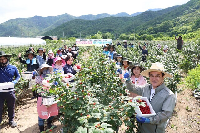 기사사진
