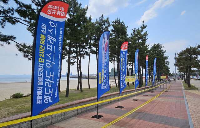 포항국제 불빛 축제현장에 홍보./대저페리