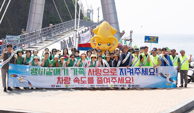 울릉군 내 환경보호 단체들이 괭이갈매기 로드킬 방지에 나섰다./울릉군