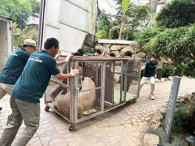 기사사진