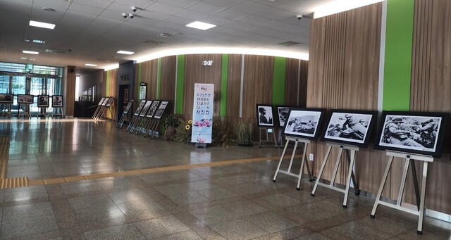 기사사진