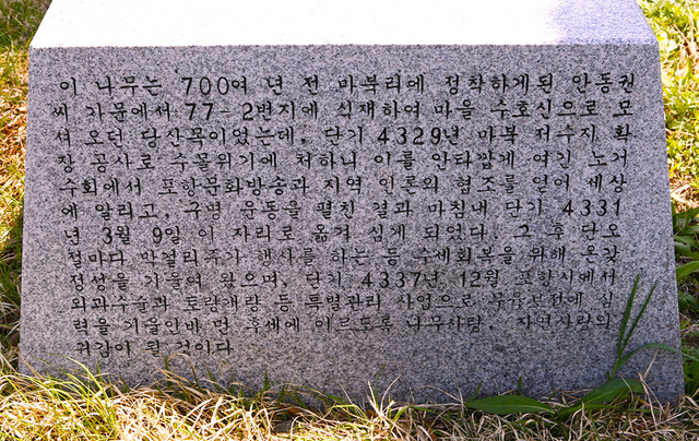 이식기념비