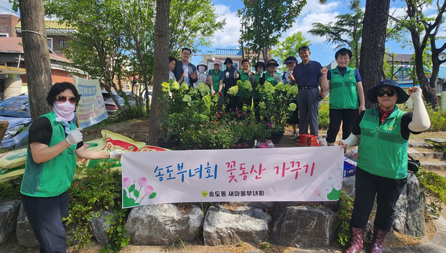 기사사진
