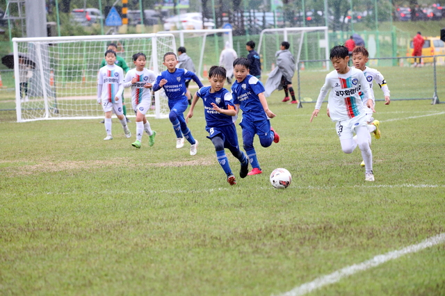 지난해 5월 펼쳐진 화랑대기 전국 유소년(U-10, U-9) 축구대회. /경주시제공