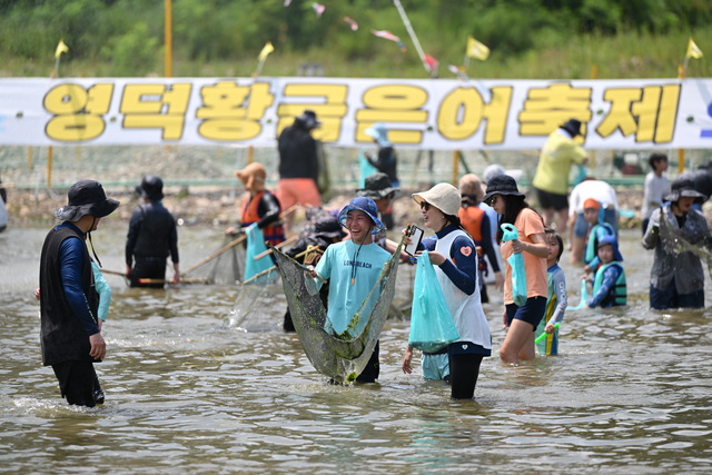 어린이 황금은어 맨손잡기 체험. /영덕군제공
