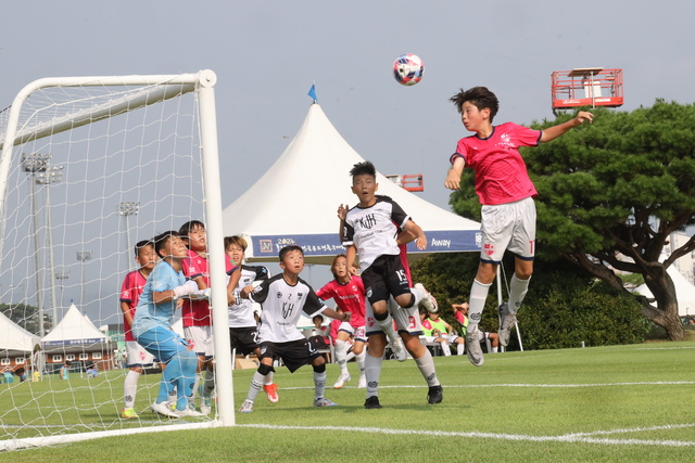 화랑대기 전국 유소년 축구대회. /경주시제공