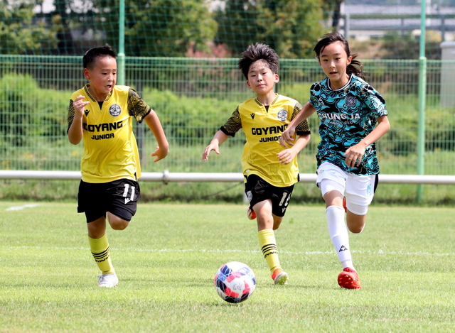 화랑대기 전국 유소년 축구대회. /경주시제공