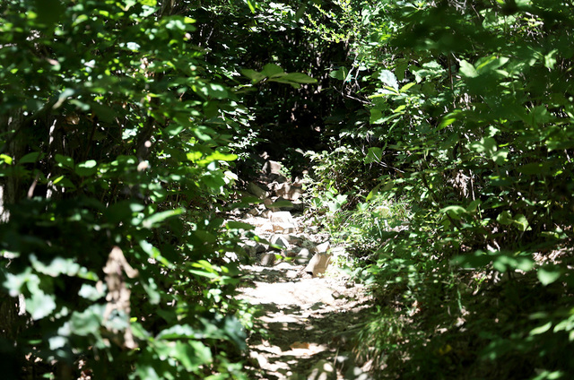 험한 산길이 선도산을 오르는 내내 이어졌다.