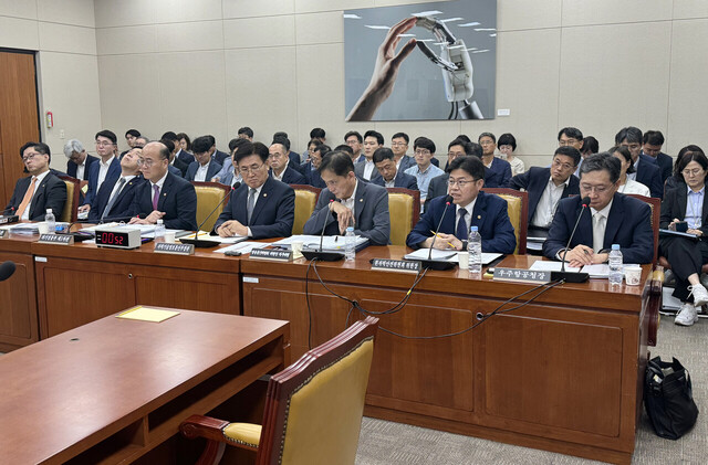 국회 과학기술정보방송통신위원회에 출석한 윤영빈 우주항공청장(맨 오른쪽)./이상휘 의원실 
