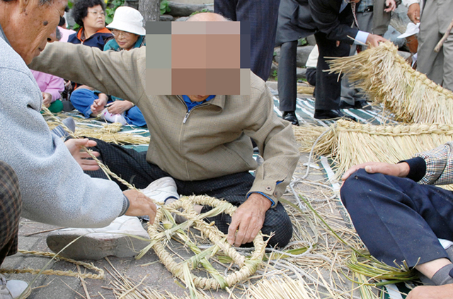 울릉도 어르신이 눈 위에 싣는 설피를 만들고 있다. /김두한 기자 